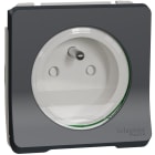 Schneider Electric - Mureva Styl - Prise de courant 2P+T à vis - composable - IP55 - IK08 - gris