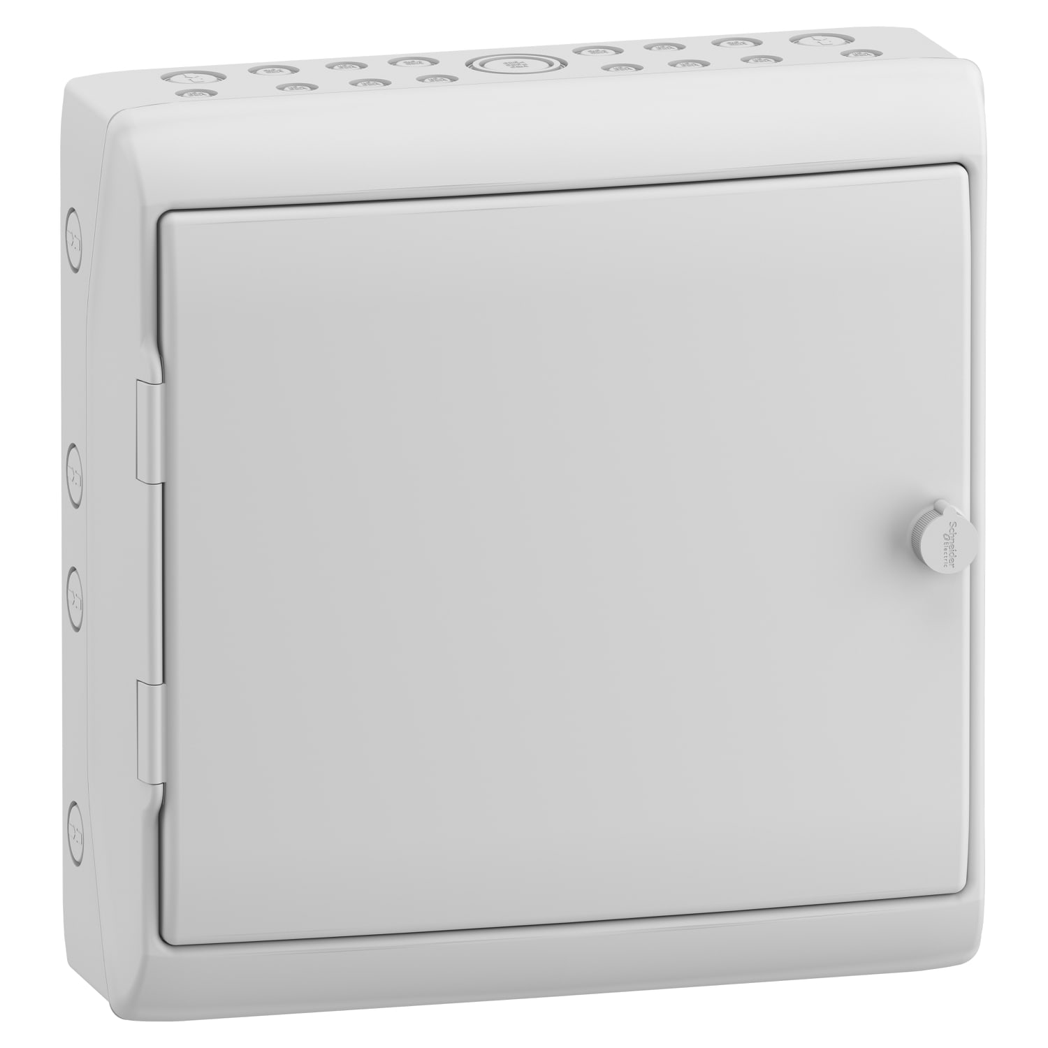 Schneider Electric - Mureva coffret  Polyvalent porte opaque  448x460mm