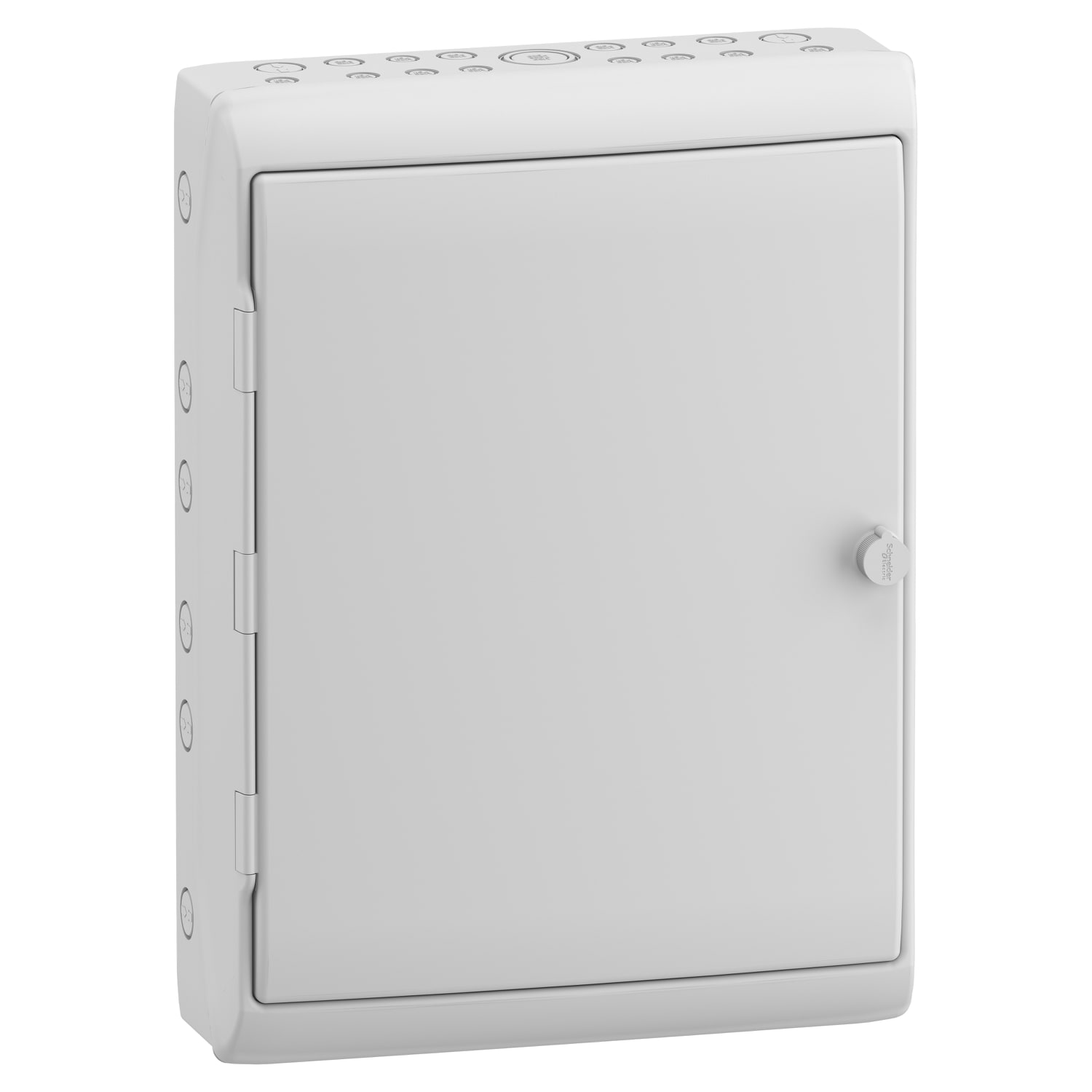 Schneider Electric - Mureva coffret  Polyvalent porte opaque 448x610mm
