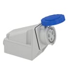 Schneider Electric - Mureva - socle de prise industrielle - 63 A - 2P+T - 200..250 V CA - IP 67