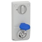 Schneider Electric - Mureva - prise verrouillable - 16 A 2P+T - 200-250 V CA IP44 - sur panneau