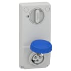 Schneider Electric - Mureva - prise verrouillable 16 A - 2P+T - 200-250 V CA - IP65 - sur panneau