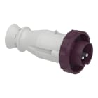 Schneider Electric - Mureva - fiche mobile industrielle - droite - 16 A - 2P- 20-25V CA - IP67