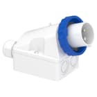 Schneider Electric - Mureva - socle de connecteur industriel - 16 A - 2P+T - 200-250V CA - IP67