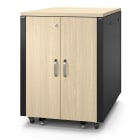 Schneider Electric - APC NetShelter - Rack informatique insonorisé - 17U - Finition Erable