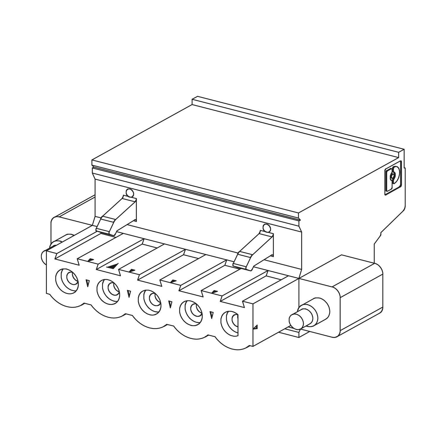 Schneider Electric - Modicon X80 - borniers débrochables - à cage - pour module d'alim. - lot de 2