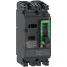 Schneider Electric - ComPacT NSX100M - Disjoncteur - TM-D 100A - 2P2D - 85kA - montage fixe