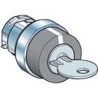 Schneider Electric - Harmony - tête de manoeuvre - Ø28,5mm - métallique - clé 421