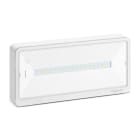 Schneider Electric - Exiway Light Bloc de secours Habitation IP65 SATI LINK