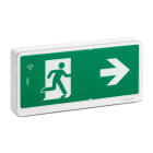Schneider Electric - Exiway Light Bloc de secours Bifonction IP42 SATI LINK