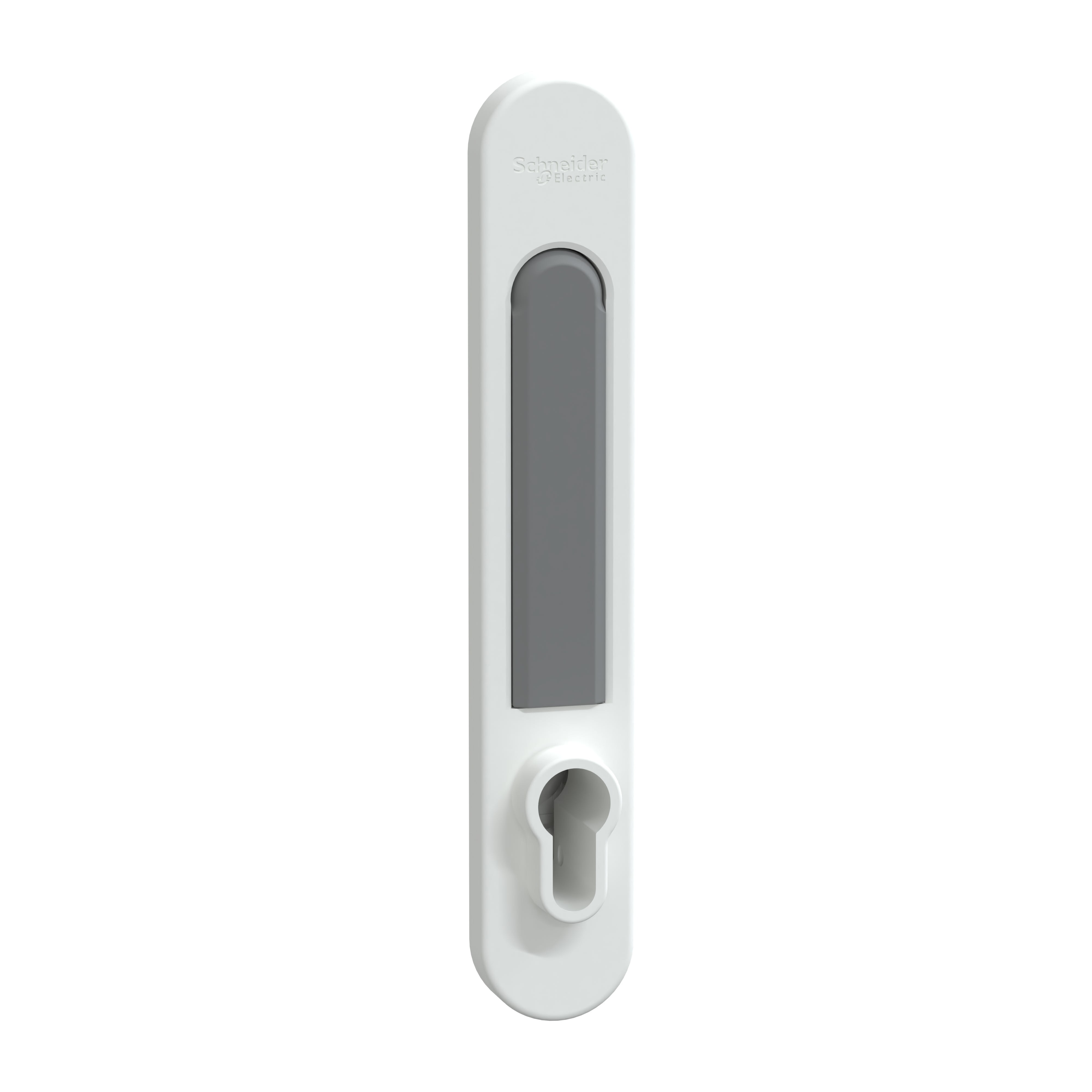 Schneider Electric - PrismaSeT G - Poignée EURO PrismaSeT - IP30 & pack 250 - Blanc RAL9003