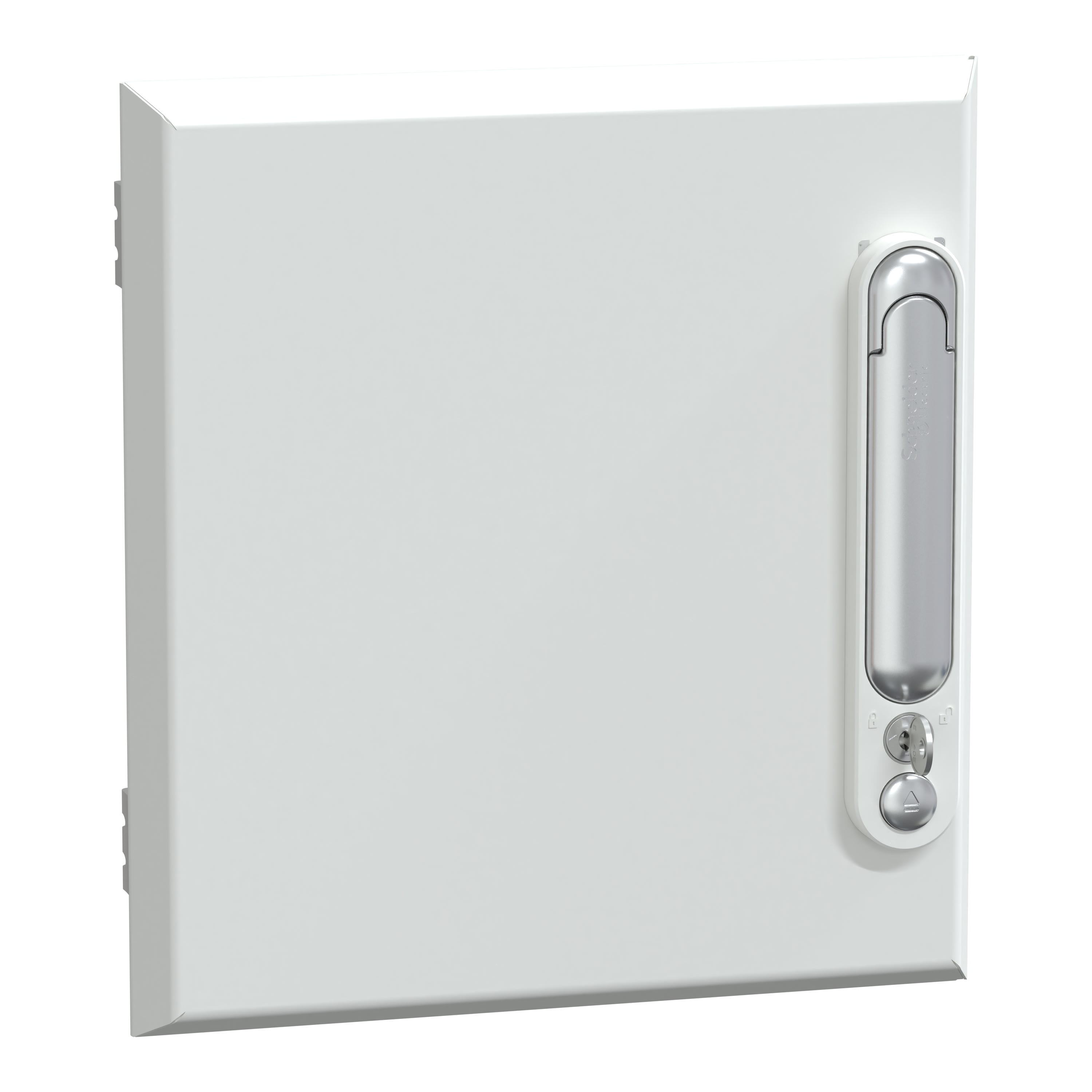 Schneider Electric - PrismaSeT G - Porte pleine gaine d'extension 6M - L300 - Peinture satin RAL spé