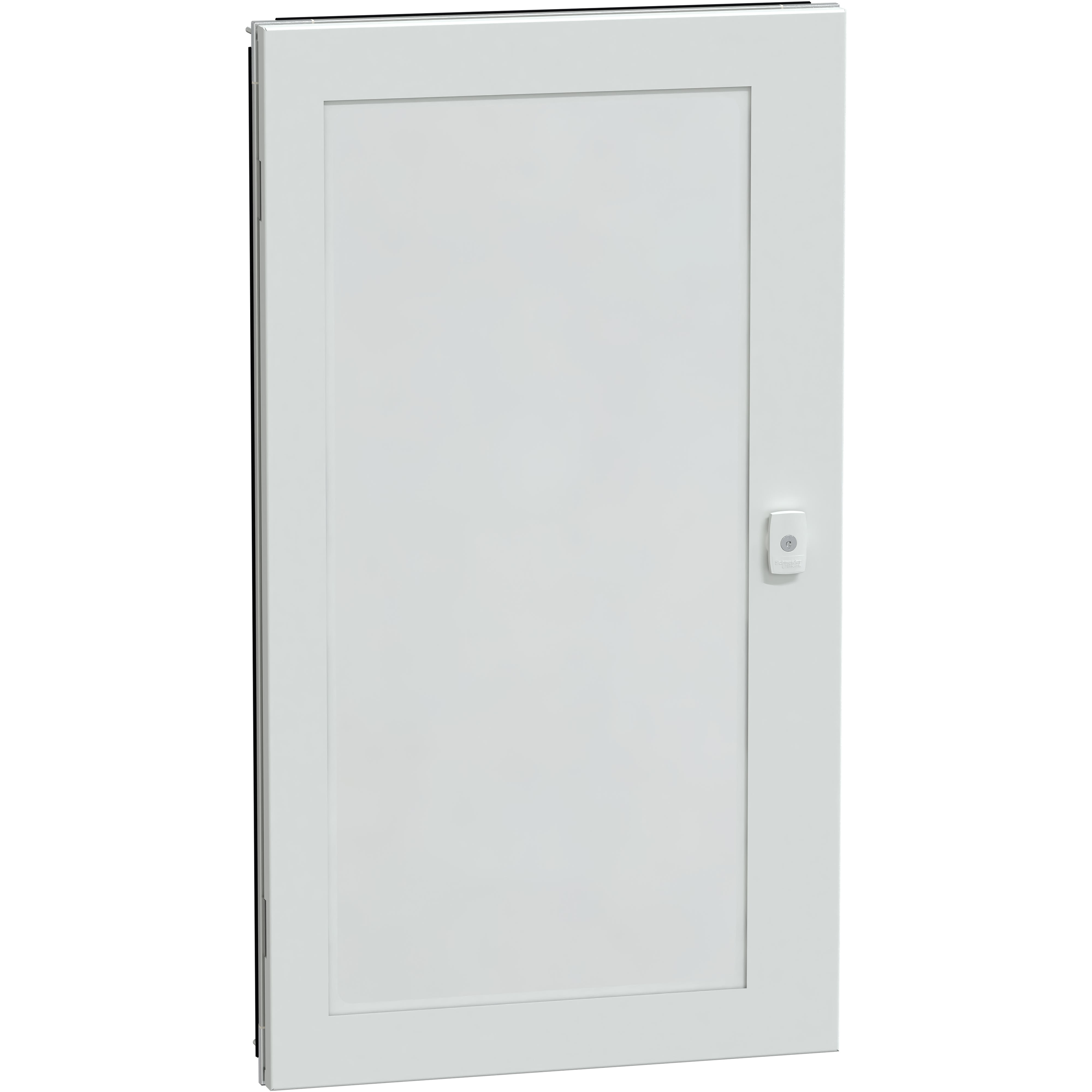Schneider Electric - PrismaSeT G - Porte transparente - Coffret ou exten. IP55 - 19M - RAL9003