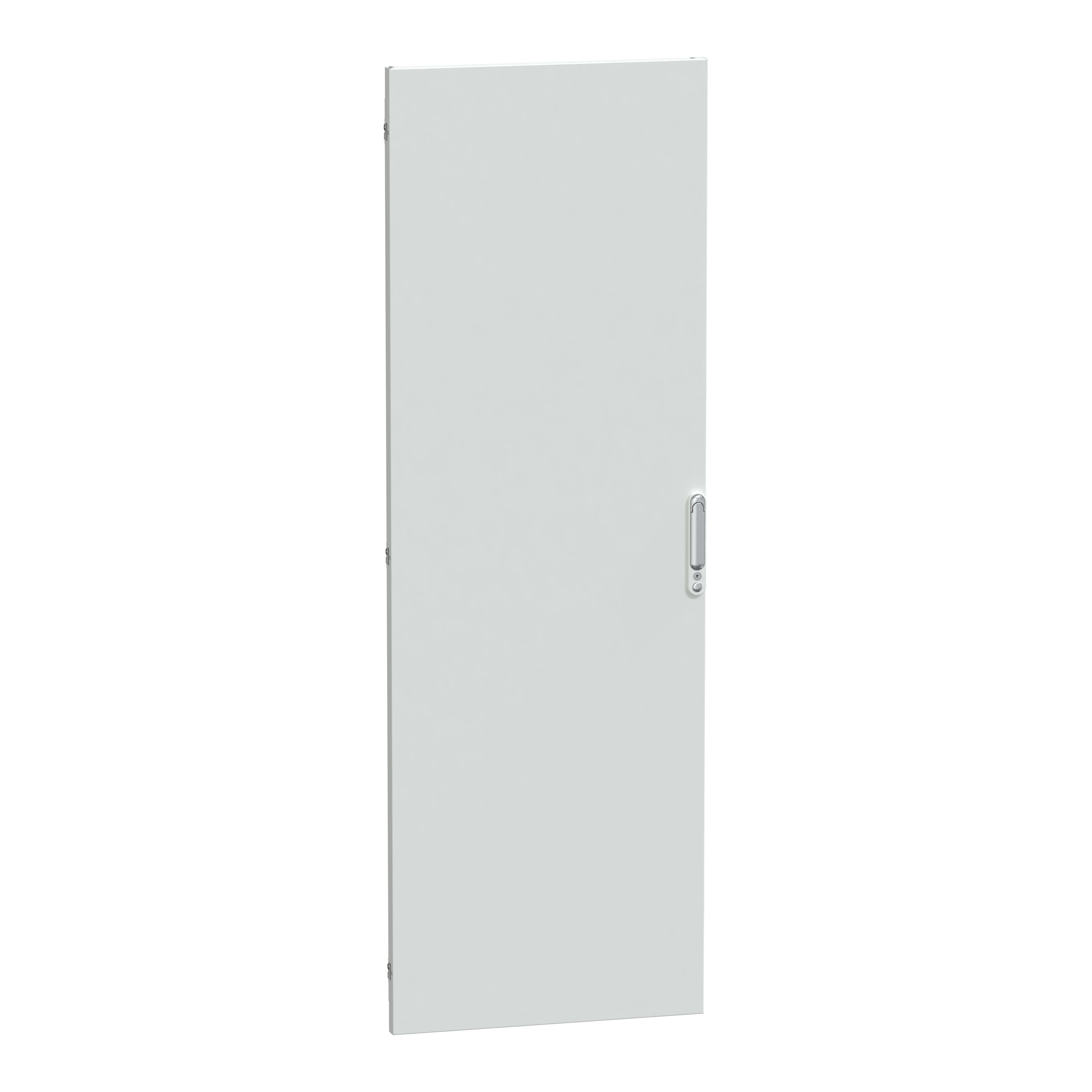 Schneider Electric - PrismaSeT P - Porte pleine IP55 - L650