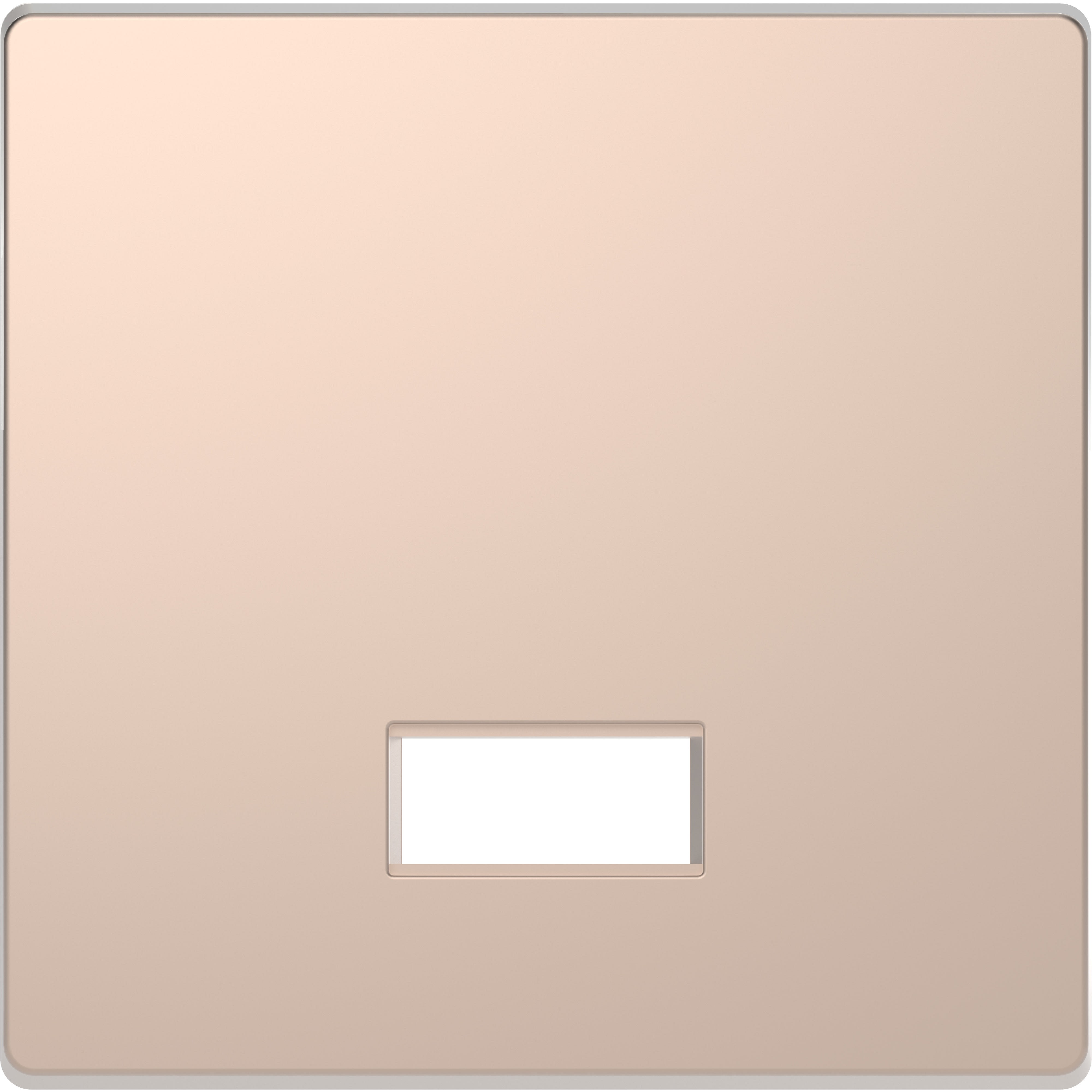 Schneider Electric - D-Life - enjoliveur pour commande simple avec hublot et symboles - métal champ