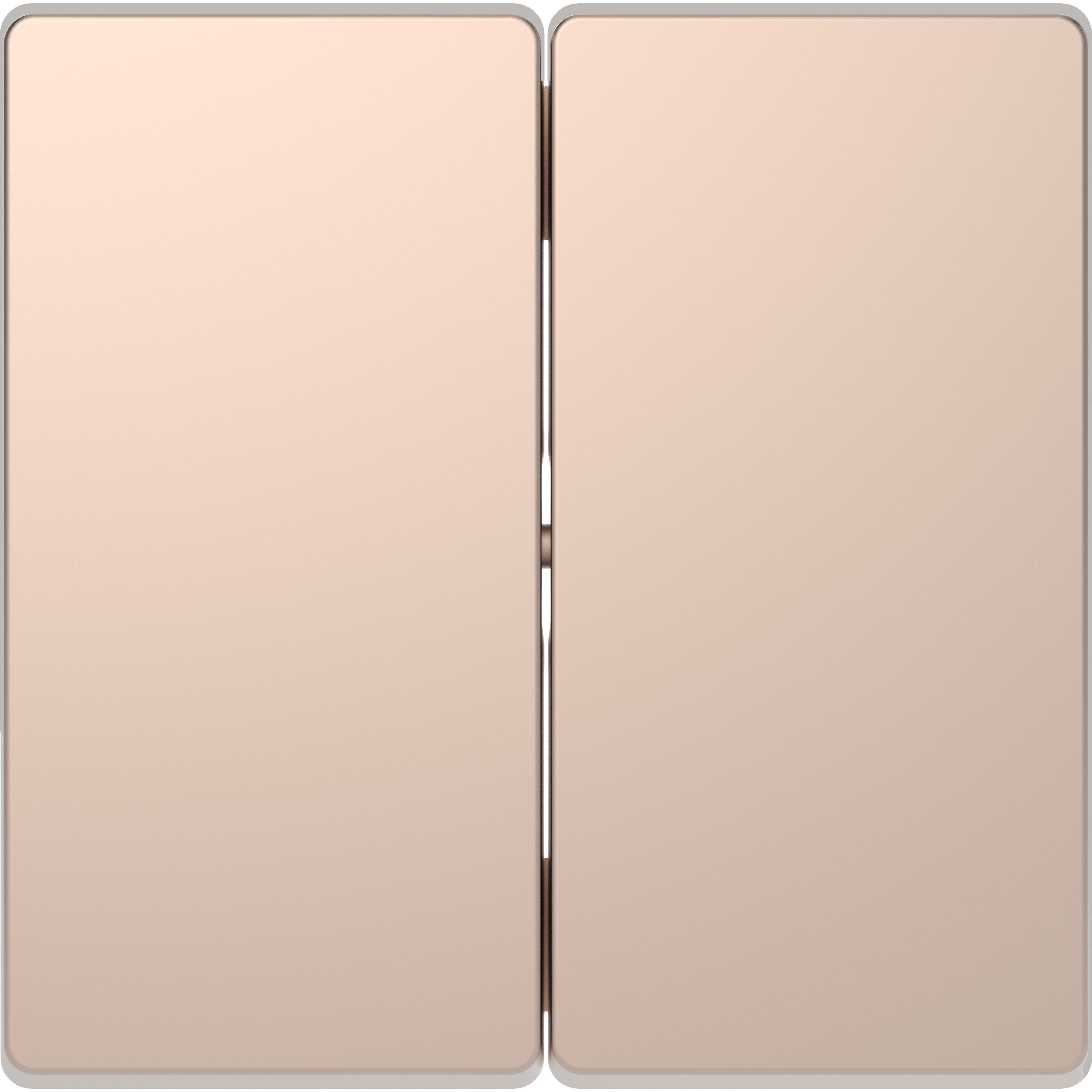 Schneider Electric - D-Life - enjoliveur pour commande double sans marquage - métal champagne