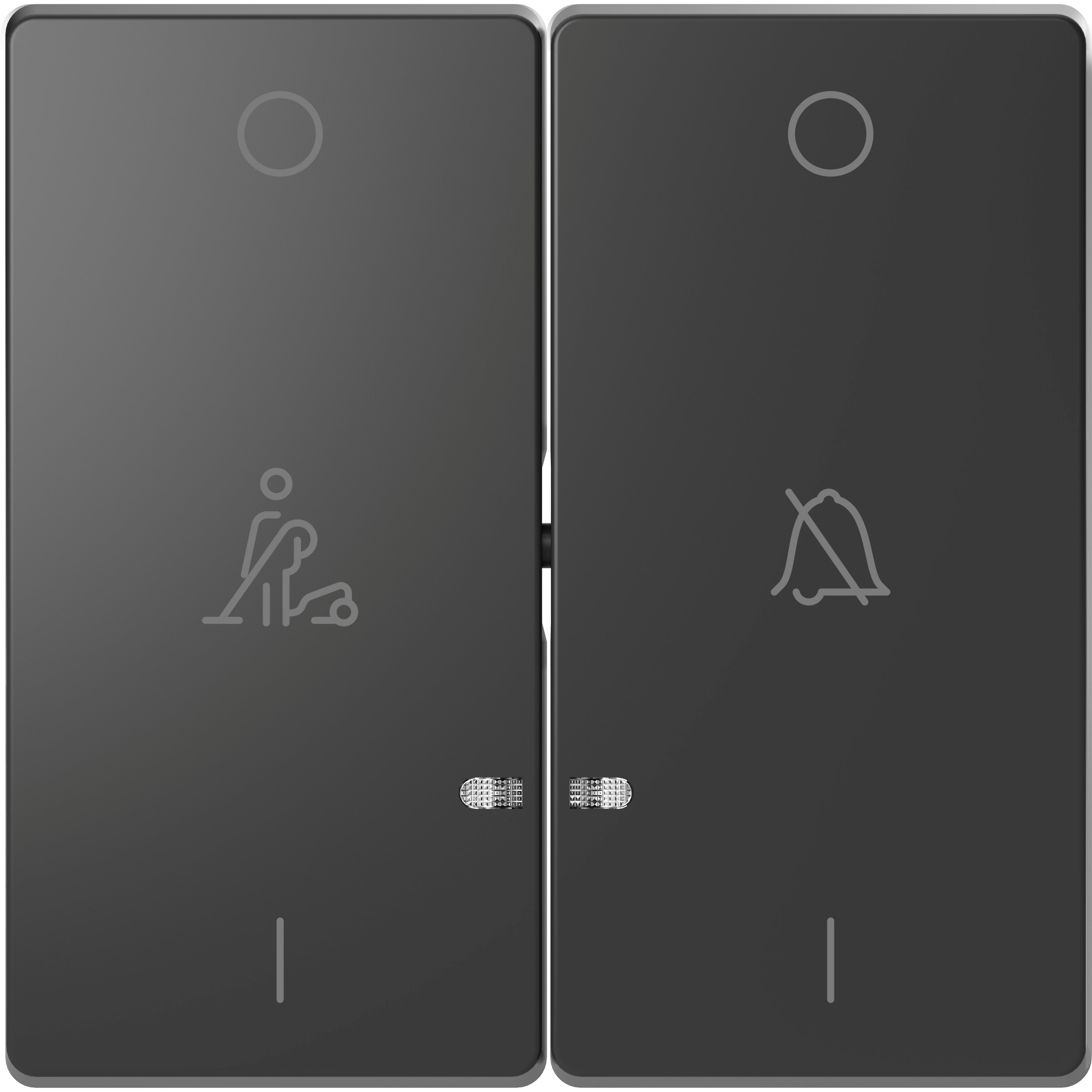 Schneider Electric - D-Life - enjoliveur pour commande double voyant et picto hotel - anthracite