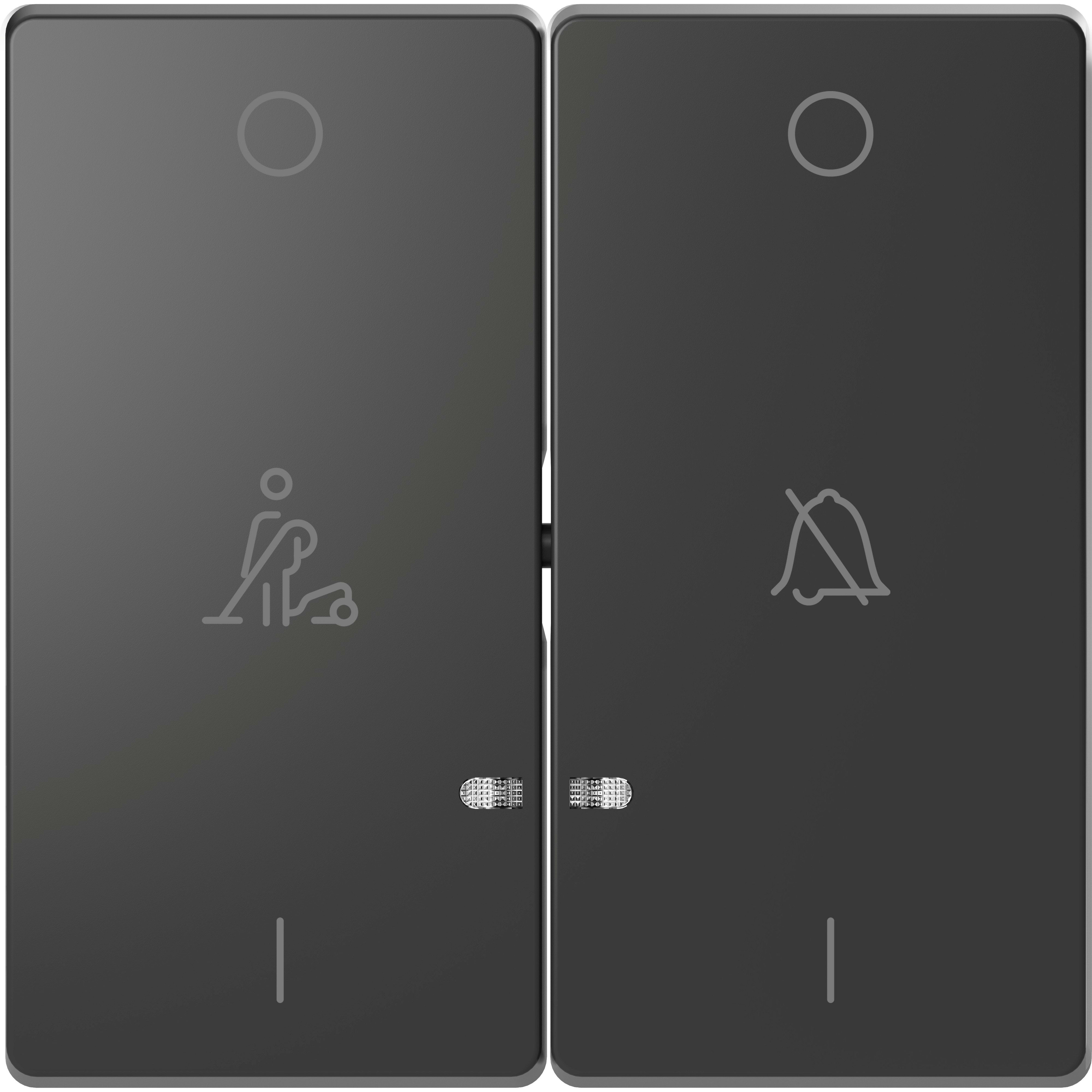 Schneider Electric - D-Life - enjoliveur pour commande double voyant et picto hotel - anthracite