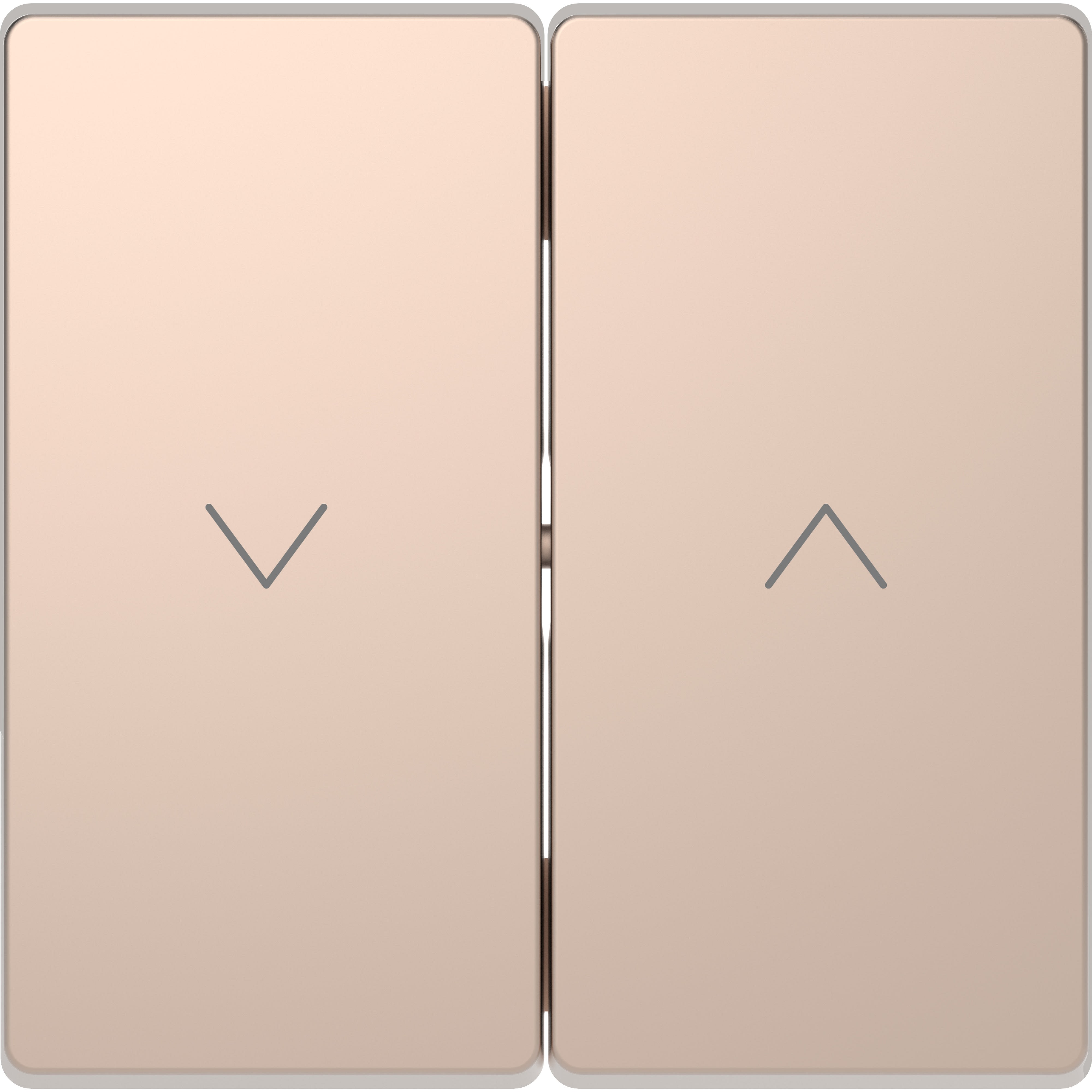 Schneider Electric - D-Life - enjoliveur pour commande double volets roulants - métal champagne