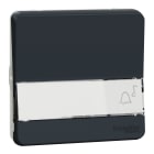 Schneider Electric - Mureva Styl - Bouton poussoir porte-etiquette - composable - IP55 - IK08 - gris