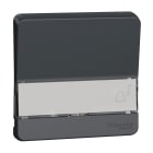 Schneider Electric - Mureva Styl - Enjoliveur porte étiquette lumineux - IP55 - IK08 - gris