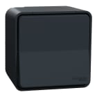 Schneider Electric - Mureva Styl - Va et vient - saillie - IP55 - IK08 - connexion auto - gris