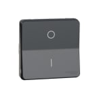 Schneider Electric - Mureva Styl - Interrupt bipolaire - composable - IP55 IK08 - connex auto - gris