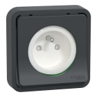 Schneider Electric - Mureva Styl - Prise courant 2P+T - compl encastré - IP55 IK08 - conn auto - gris