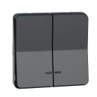 Schneider Electric - Mureva Styl - Dble bouton poussoir lumineux LED - composable - IP55 IK07 - gris
