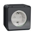 Schneider Electric - Mureva Styl - Prise de courant 2P+T schuko - saillie - IP55 - IK08 - gris