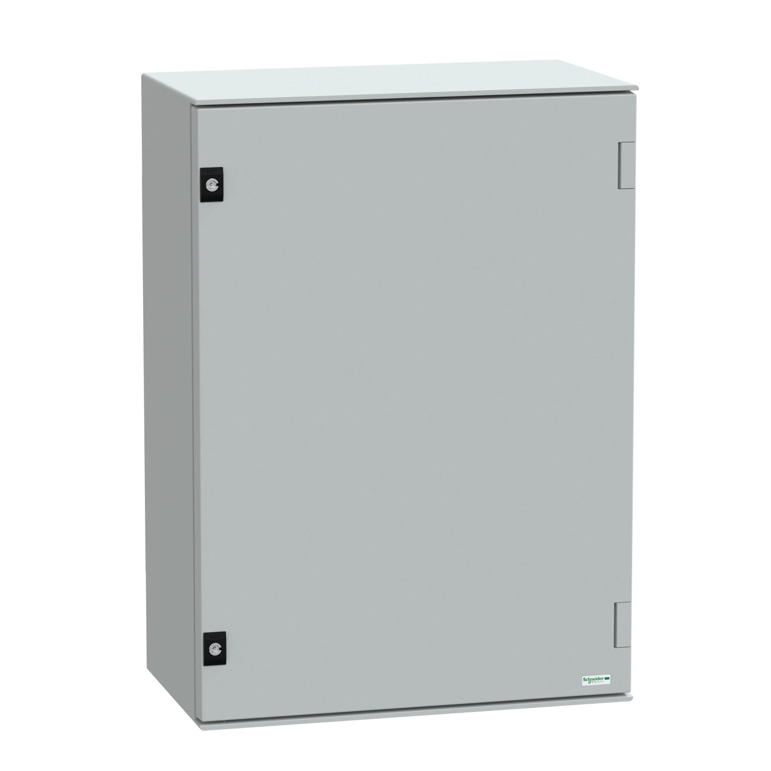 Schneider Electric - Thalassa PLM - Coffret polyester 747x536x300+chassis metallique - IP66 Ral 7035