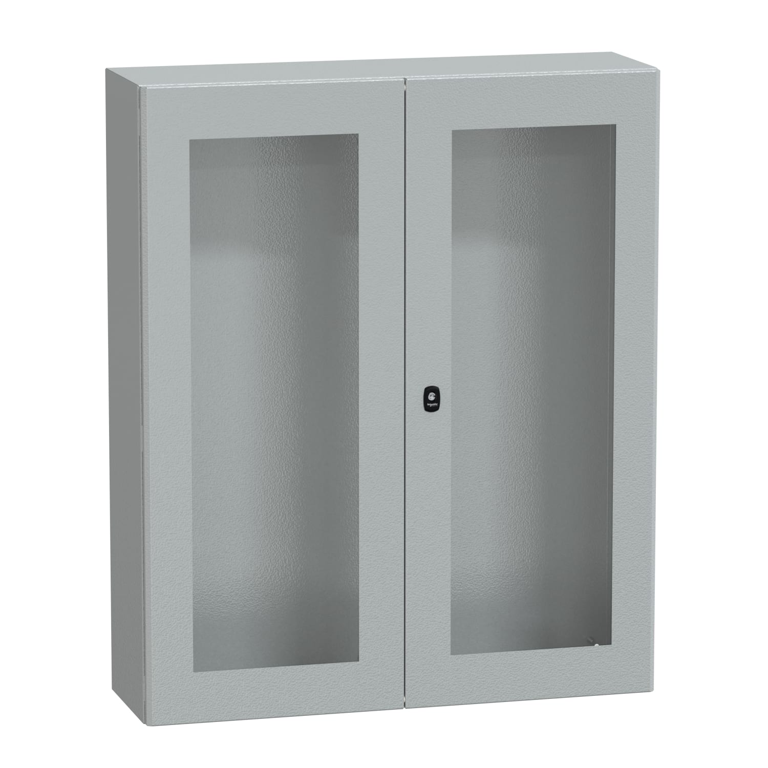 Schneider Electric - PanelSeT S3D - Enveloppe acier - H1200xL1000xP300 - 2 portes vitrées