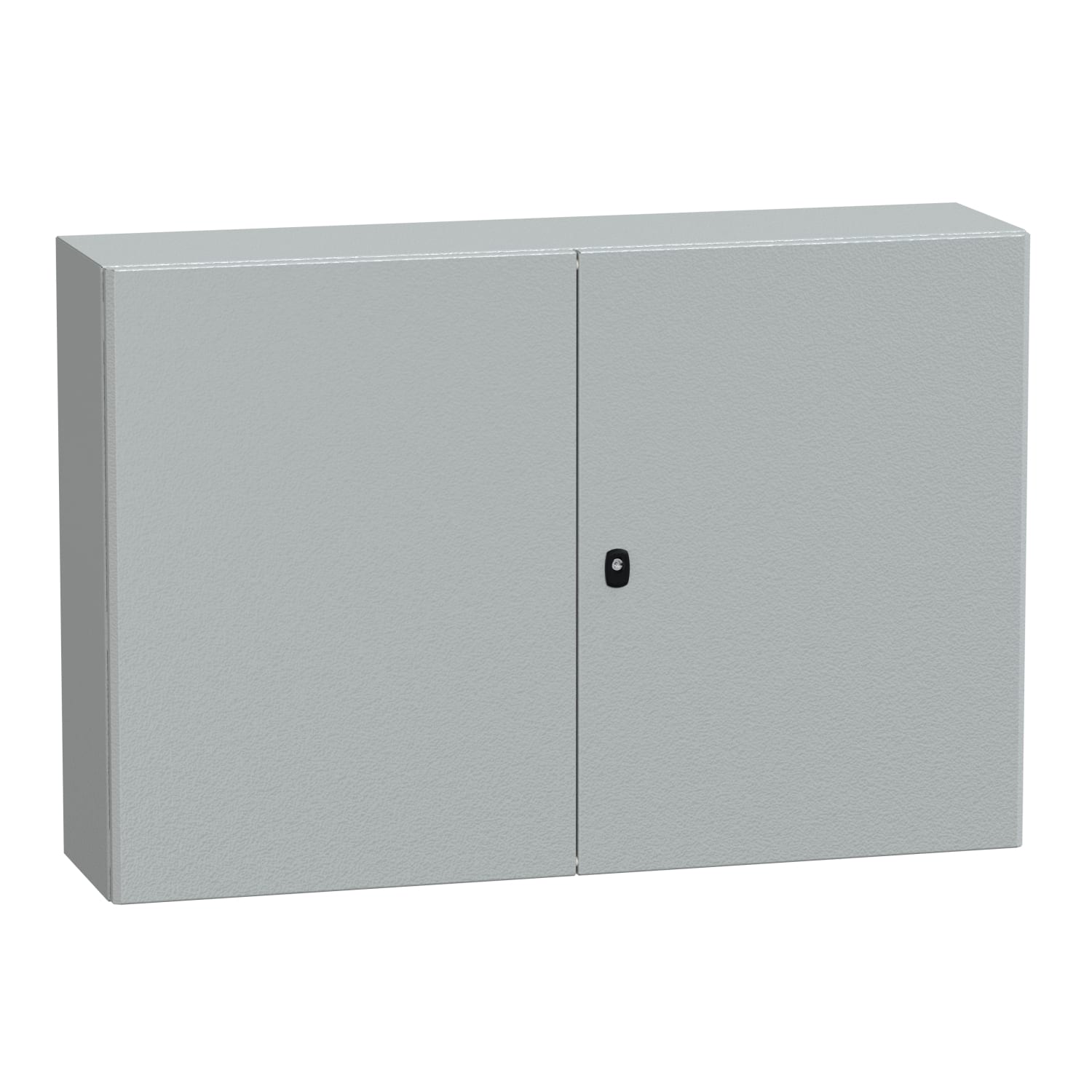 Schneider Electric - PanelSeT S3D - Enveloppe acier - H800xL1200xP300 - 2 portes pleines