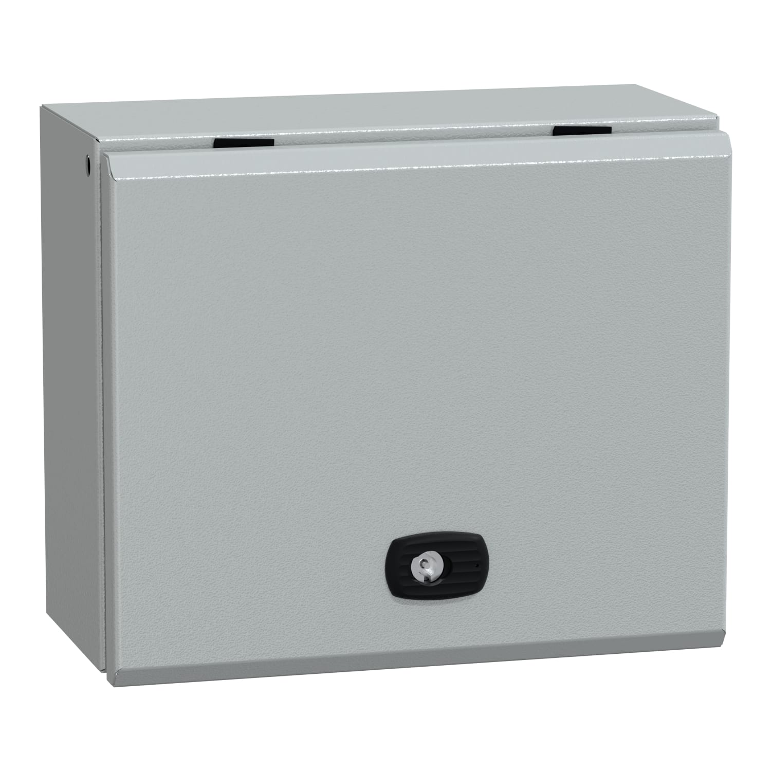 Schneider Electric - Spacial S3D - S3DB bornes H250xL300xP150 - porte pleine