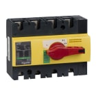 Schneider Electric - interrupteursectionneur Interpact INS125 4P 125 A