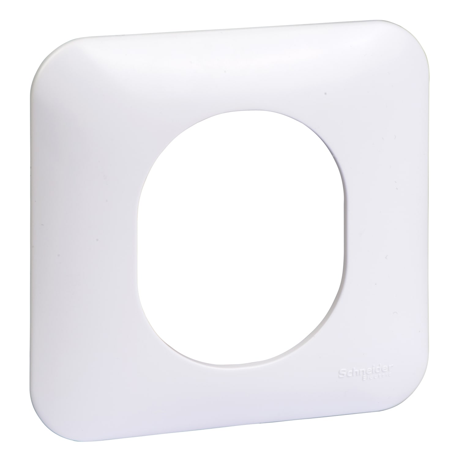 Schneider Electric - Ovalis - Lot de 100 plaques de finition de coloris blanc sans emballage unitaire