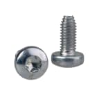 Schneider Electric - PanelSeT - vis Torx autotaraudeuse T30 - M6x12mm