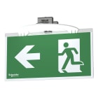 Schneider Electric - Exiway Smartbeam - Bloc d'évacuation encastré SATI 45lm - 1h - IP42 - IK04
