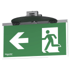 Schneider Electric - Exiway Smartbeam - Bloc évacuation encastré SATI 45lm - 1h - IP42 - IK04 - Noir