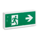 Schneider Electric - Exiway Light Bloc de secours Evacuation IP65 SATI LINK