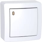 Schneider Electric - Alréa, Poussoir O/F lumineux faible conso avec cadre saillie, blanc polaire