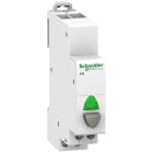 Schneider Electric - Acti9, iPB bouton-poussoir lumineux 1 NO gris + voyant vert 110...230VCA