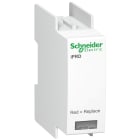 Schneider Electric - Acti9 - Cartouche pour parafoudre - iPRD IT C40 460