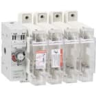 Schneider Electric - TeSys GS - Interrupteur sect fusible 4x 250a 1