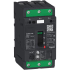 Schneider Electric - TeSys GV - disjoncteur magneto-thermique - In 80A - 100kA - Everlink