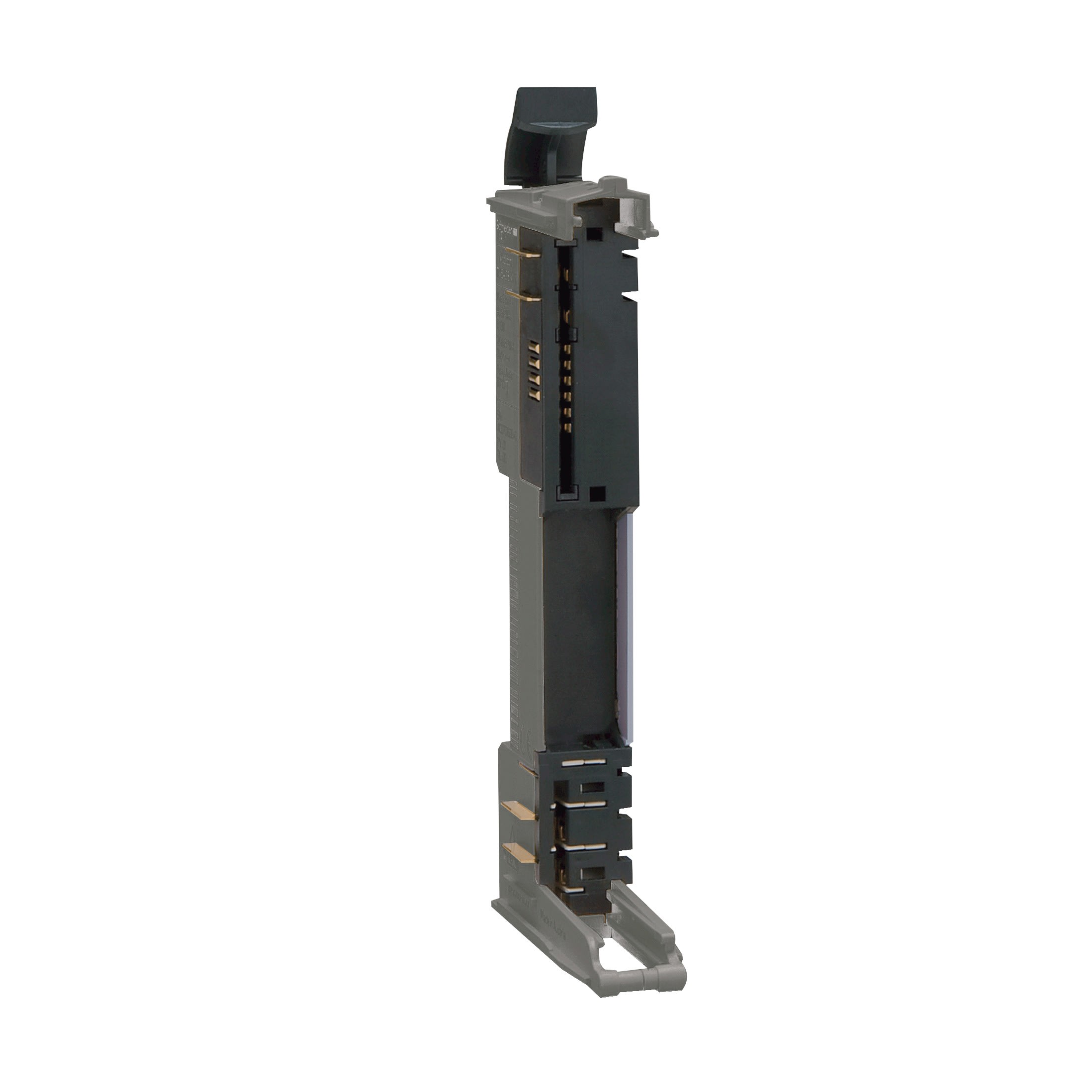 Schneider Electric - Modicon TM - Bus base - réglage de l'adresse ad 24Vcc