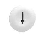 Schneider Electric - Harmony capsule de bouton-poussoir blanc - flèche de repérage noire