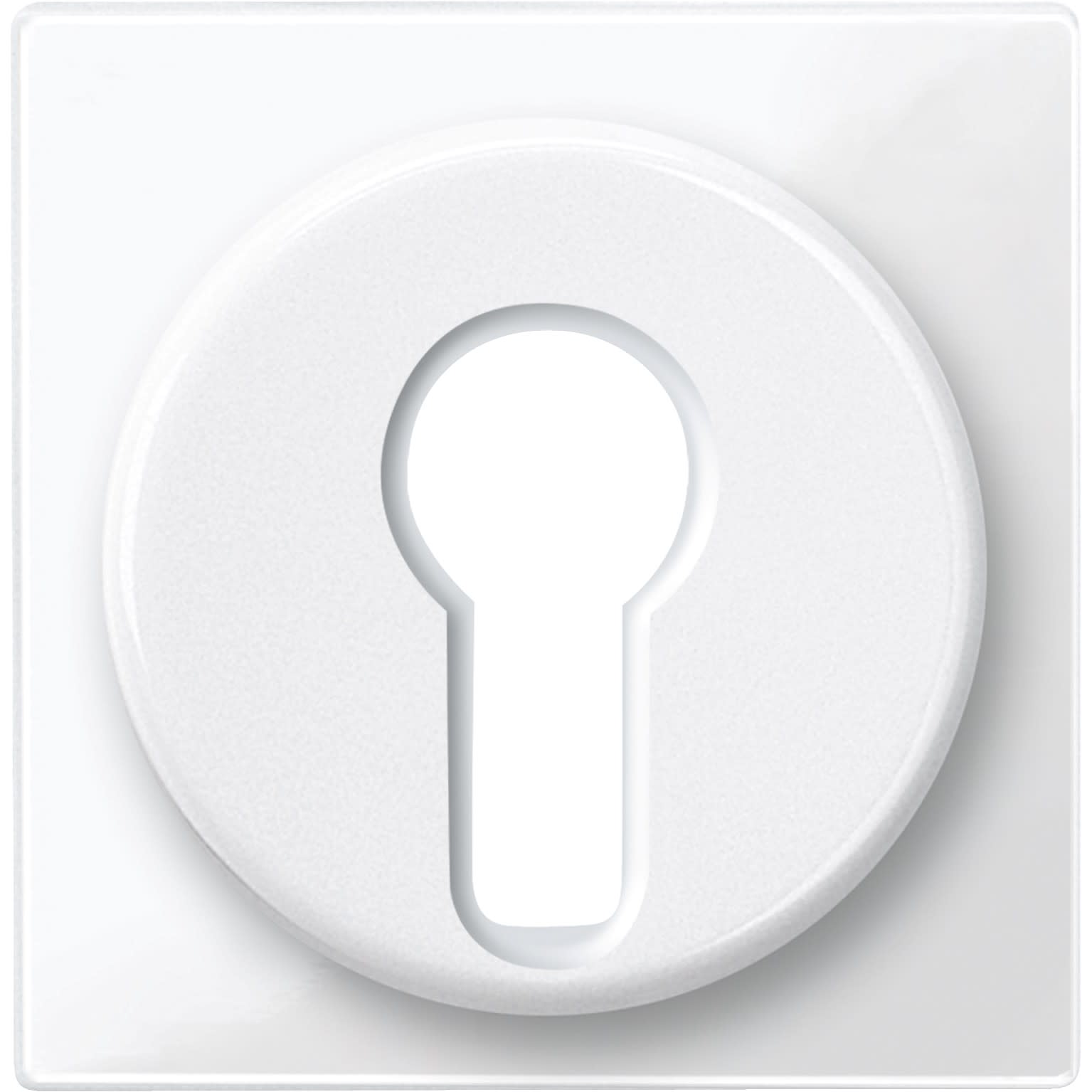 Schneider Electric - Merten M-Plan - enjoliveur pour commutateur à clé - blanc brillant