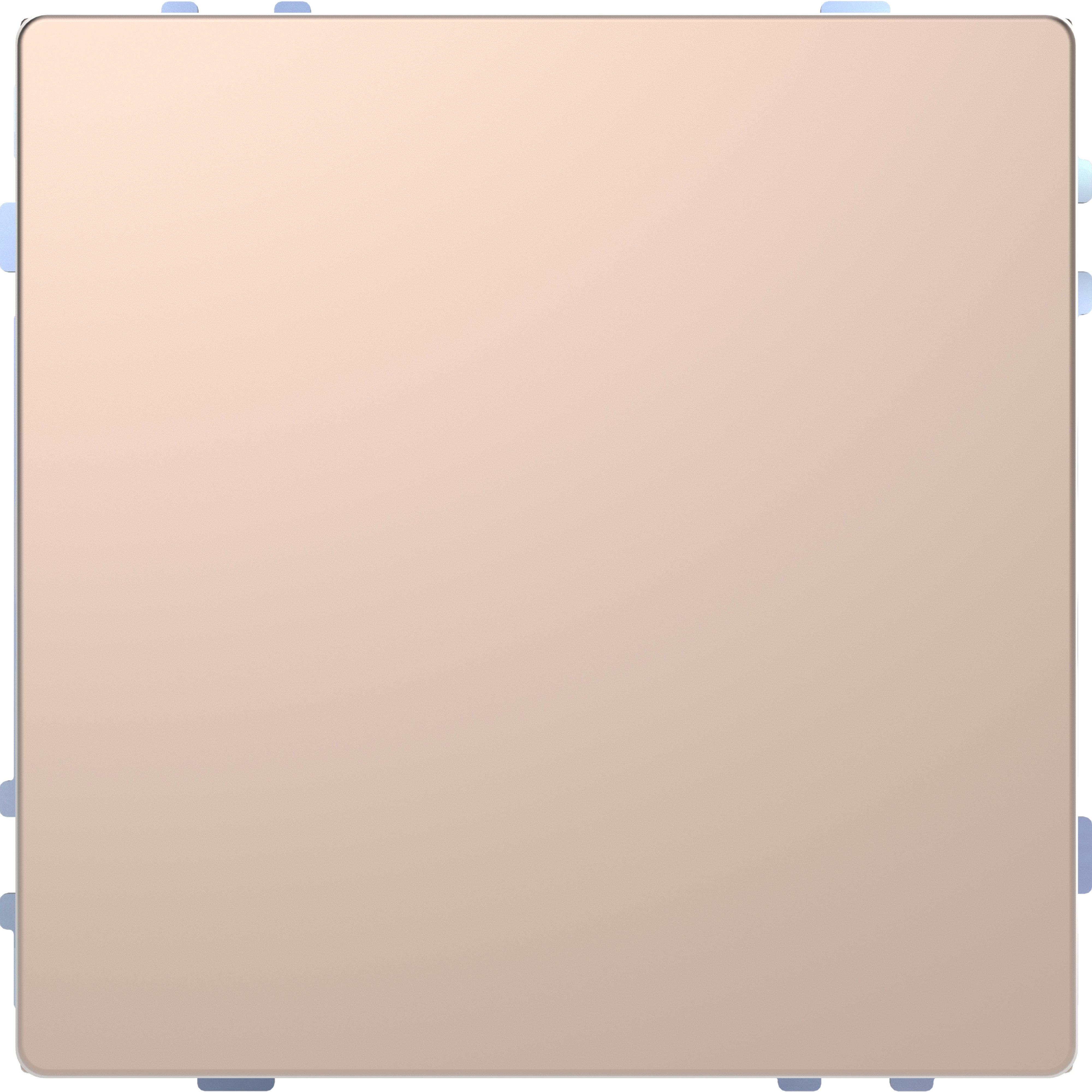 Schneider Electric - SpaceLogic KNX - D-Life - Bouton poussoir Pro T - Champagne Métal