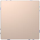 Schneider Electric - SpaceLogic KNX - D-Life - Bouton poussoir Pro T - Champagne Métal